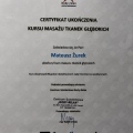 Powiększ obraz: certificate 7