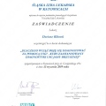 Powiększ obraz: certificate 2