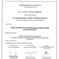Powiększ obraz: certificate 9