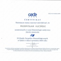 Powiększ obraz: certificate 13