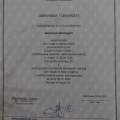 Powiększ obraz: certificate 1
