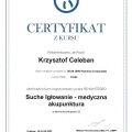 Powiększ obraz: certificate 8