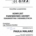Powiększ obraz: certificate 3