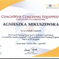 Powiększ obraz: certificate 2