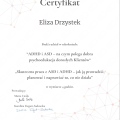 Powiększ obraz: certificate 2