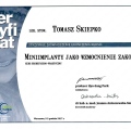 Powiększ obraz: certificate 6