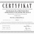 Powiększ obraz: certificate 4