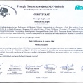 Powiększ obraz: certificate 2