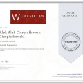Powiększ obraz: certificate 6