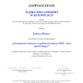 Powiększ obraz: certificate 110
