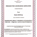 Powiększ obraz: certificate 5