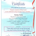 Powiększ obraz: certificate 22