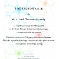 Powiększ obraz: certificate 11