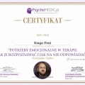 Powiększ obraz: certificate 2