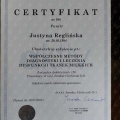 Powiększ obraz: certificate 2