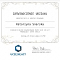 Powiększ obraz: certificate 16