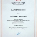 Powiększ obraz: certificate 7
