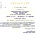 Powiększ obraz: certificate 5