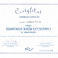 Powiększ obraz: certificate 20