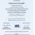 Powiększ obraz: certificate 1