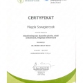 Powiększ obraz: certificate 6