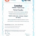 Powiększ obraz: certificate 2