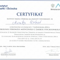 Powiększ obraz: certificate 4
