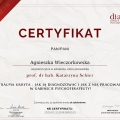 Powiększ obraz: certificate 26
