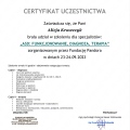 Powiększ obraz: certificate 10