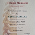 Powiększ obraz: certificate 9