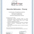 Powiększ obraz: certificate 12