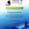 Powiększ obraz: certificate 6
