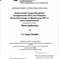 Powiększ obraz: certificate 2