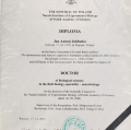 Powiększ obraz: certificate 1