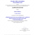 Powiększ obraz: certificate 220