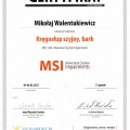 Powiększ obraz: certificate 11