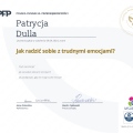 Powiększ obraz: certificate 4