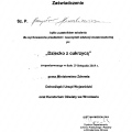 Powiększ obraz: certificate 3