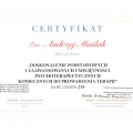 Powiększ obraz: certificate 3
