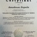 Powiększ obraz: certificate 29