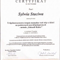 Powiększ obraz: certificate 11