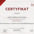 Powiększ obraz: certificate 11