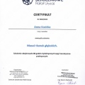 Powiększ obraz: certificate 3