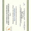 Powiększ obraz: certificate 4