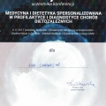 Powiększ obraz: certificate 10
