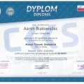 Powiększ obraz: certificate 8