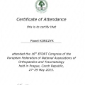 Powiększ obraz: certificate 2