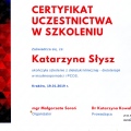 Powiększ obraz: certificate 6