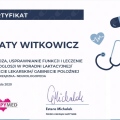 Powiększ obraz: certificate 11