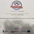 Powiększ obraz: certificate 8